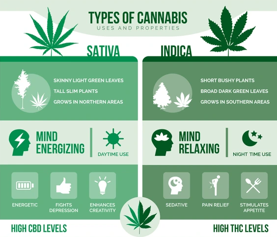 Medical Card 329 About