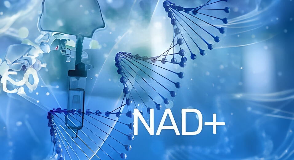 NAD+ Therapy About