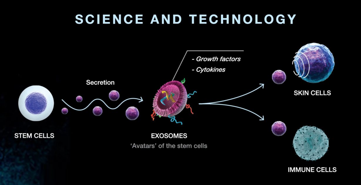 Stem Cell Working